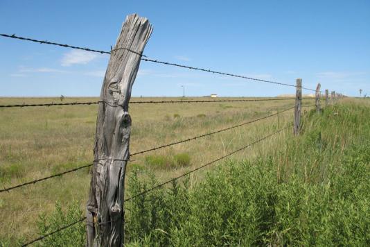 Забор из колючей проволоки на Старом Западе
