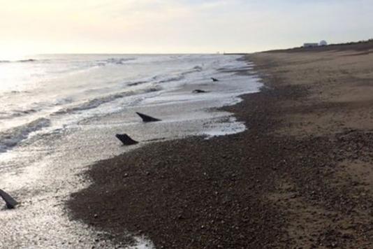 Загородження зуби дракона на узбережжі