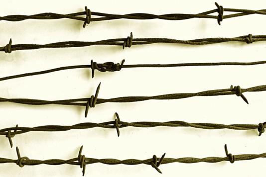 Антикварний колючий дріт