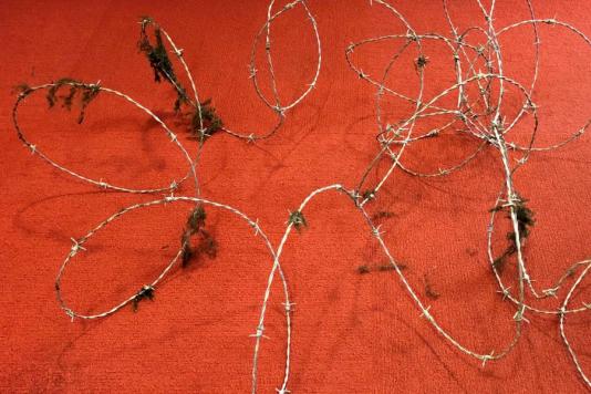 Колючий дріт в озері