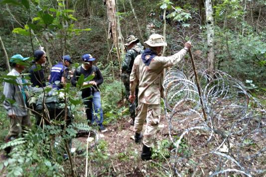 Колючая проволока против коронавируса Covid-19