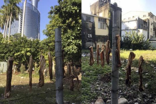 Рецепт свинячої грудинки на колючому дроті