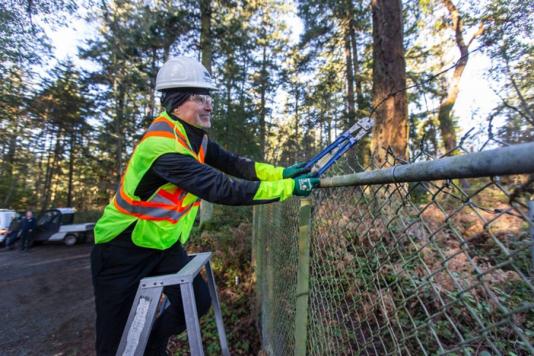 Royal Roads убирает колючую проволоку