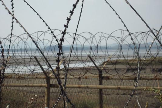 Дріт колючий в ДМЗ