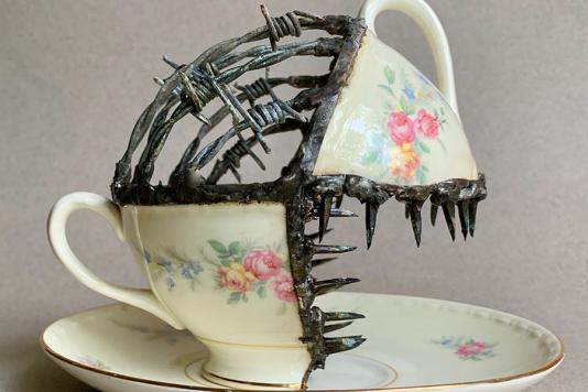 Колючая проволока и фарфоровая чашка