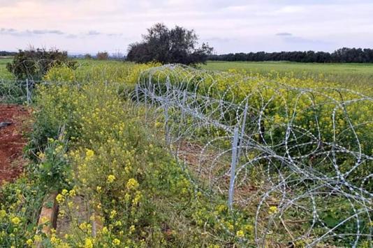 Загородження з колючого дроту на Кіпрі