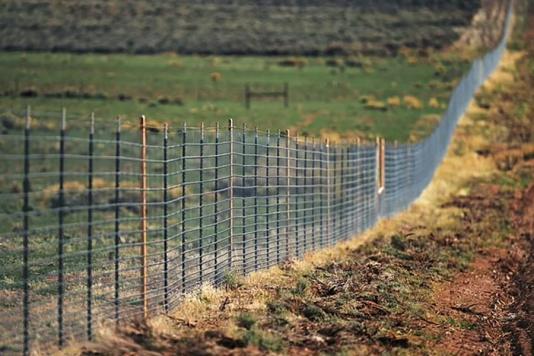 20 миль паркану з колючого дроту