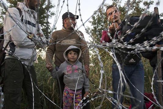 Паркан із колючого дроту та мігранти