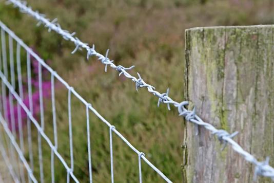 Колючий дріт в Колорадо