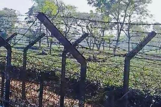 Індія розпочала будівництво огорожі з колючого дроту