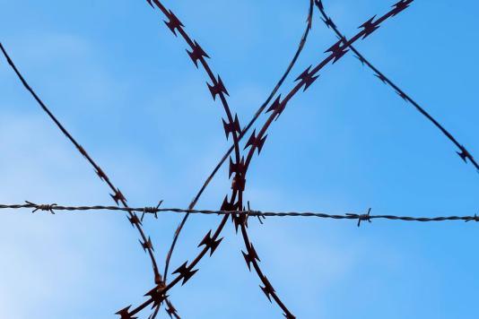 Колючая проволока, которая сейчас используется