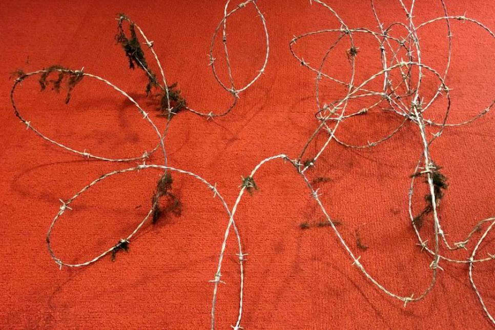 Колючий дріт в озері