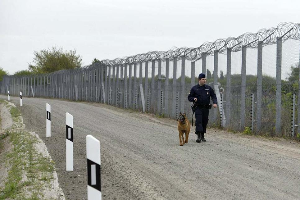 Колючий дріт і паркан на кордоні Угорщини