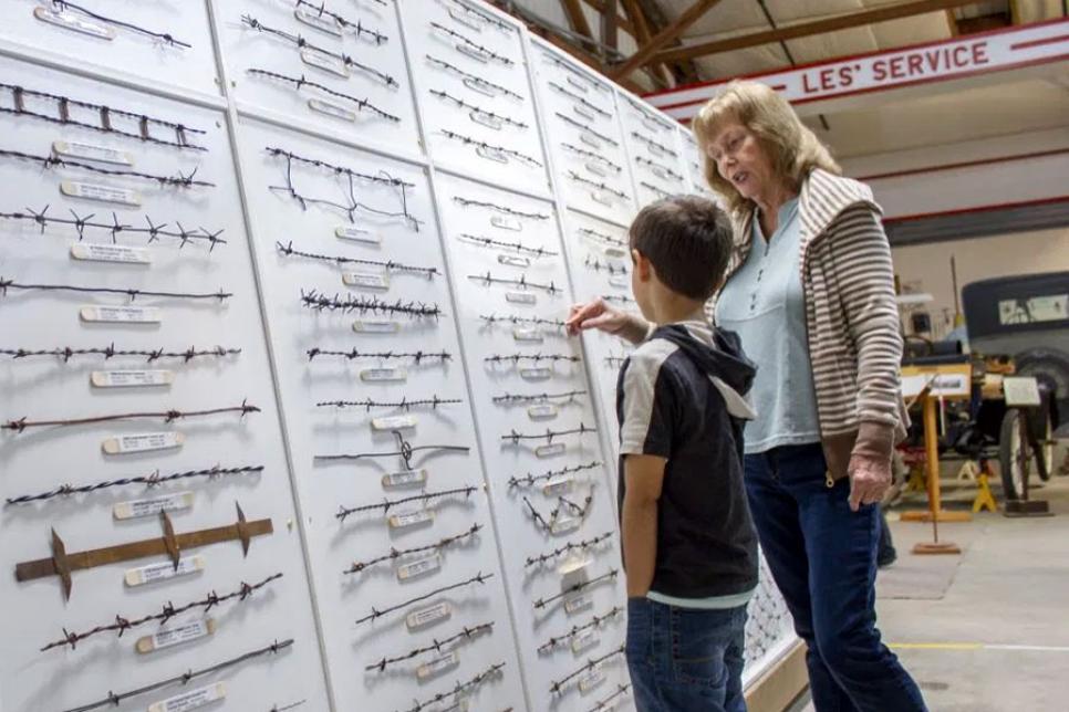 Колючая проволока в Пасо-Роблес 2020