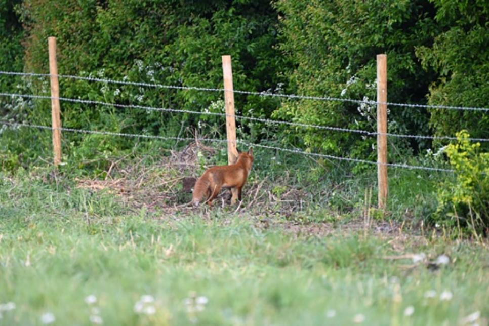 Забор из колючей проволоки вокруг новостройки