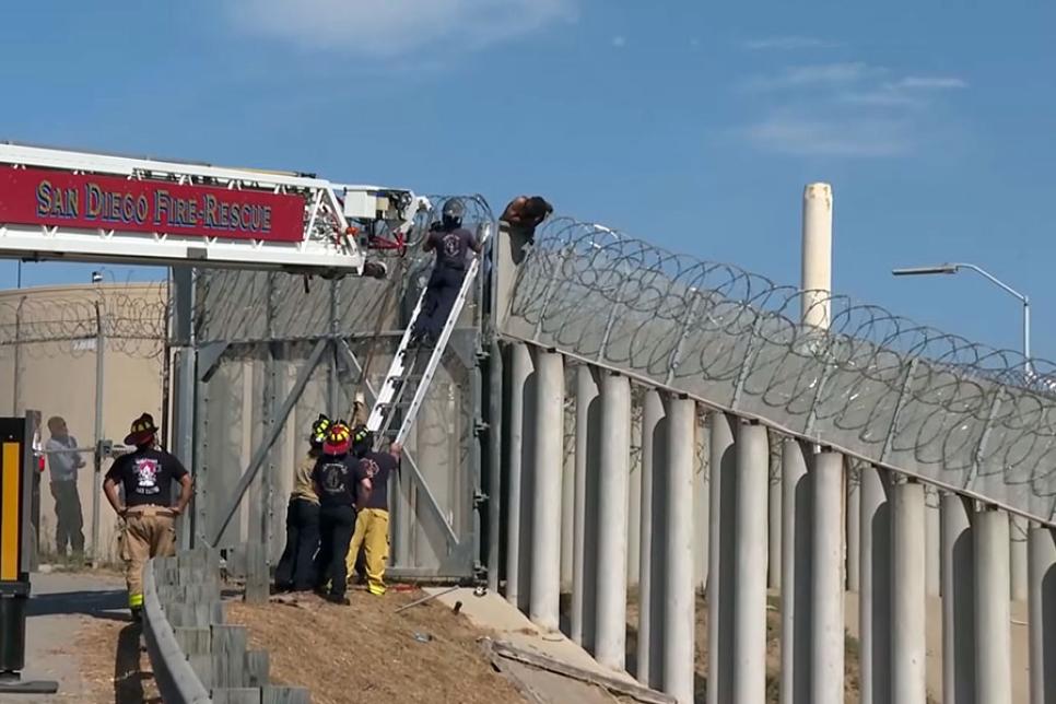 Колючая проволока поймала нарушителя