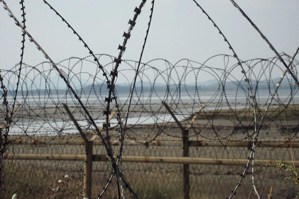 Проволока колючая в ДМЗ