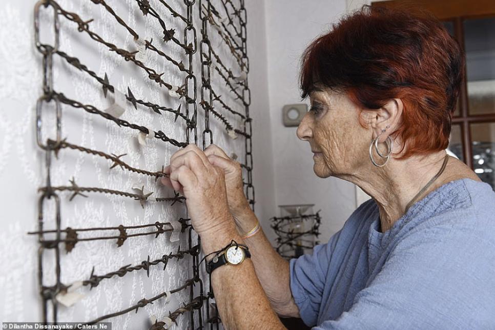 Коллекция колючей проволоки