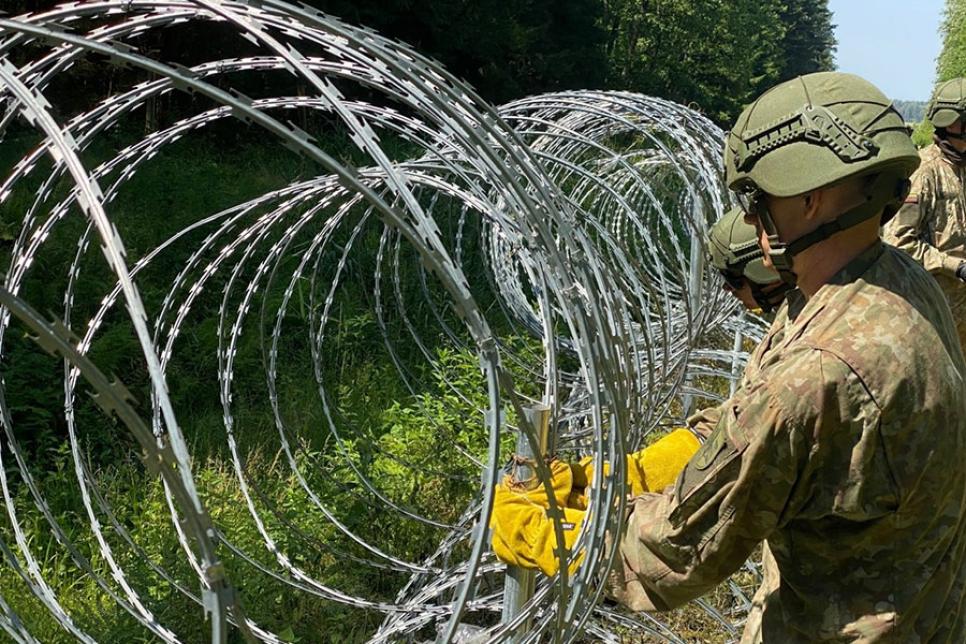 Литва шукає постачальників колючого дроту Єгоза