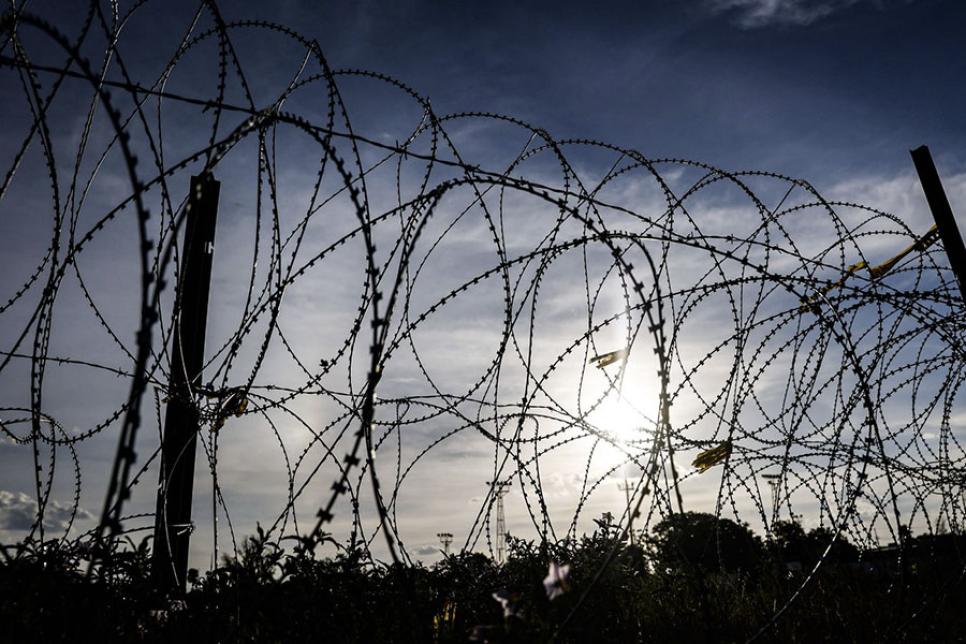 Колючая проволока в Техасе продолжает устанавливаться