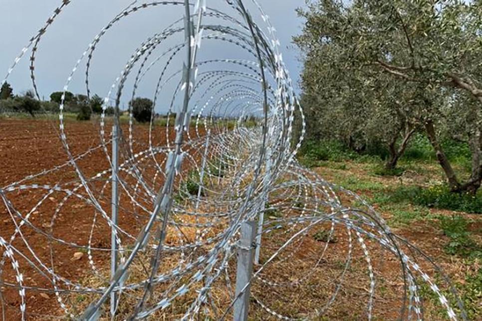 Кіпр колючий дріт