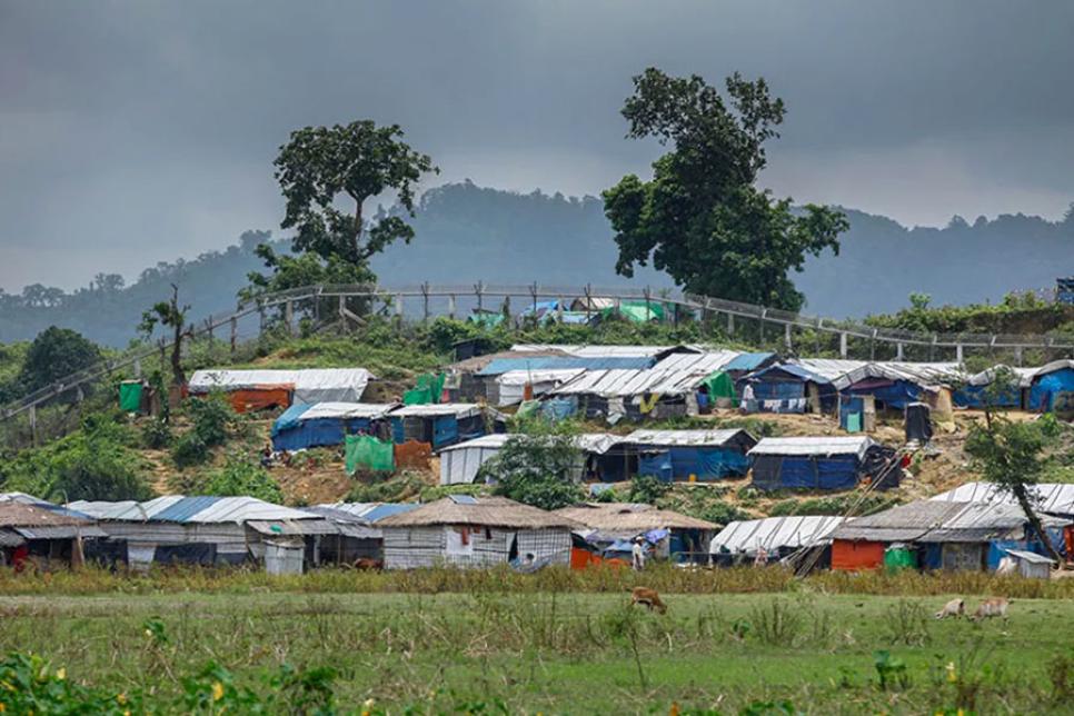 Паркан уздовж кордону в Бангладеш