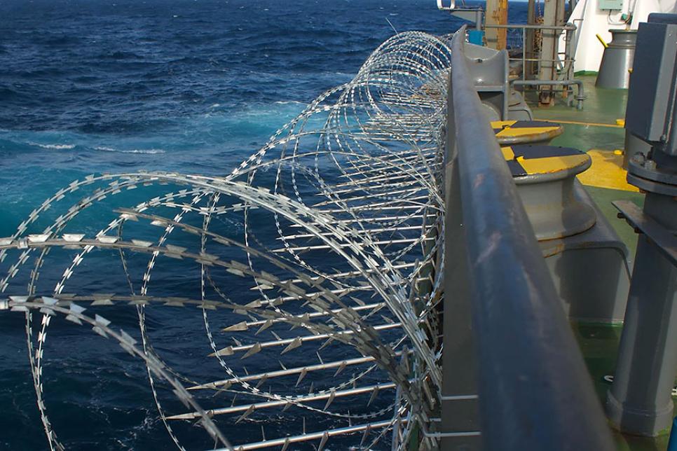 Колючая проволока не помогла