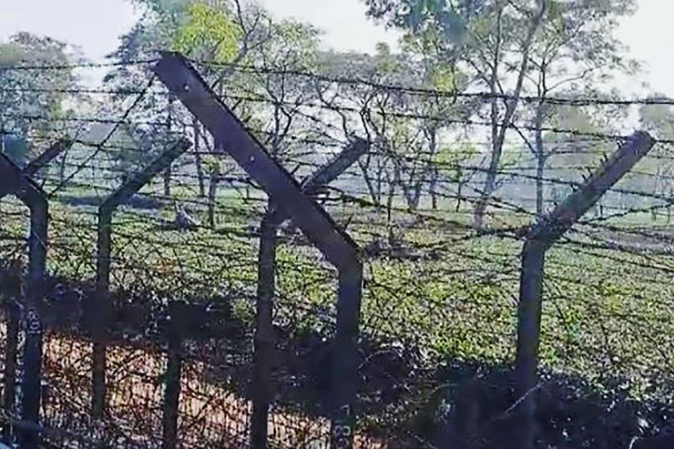 Індія розпочала будівництво огорожі з колючого дроту