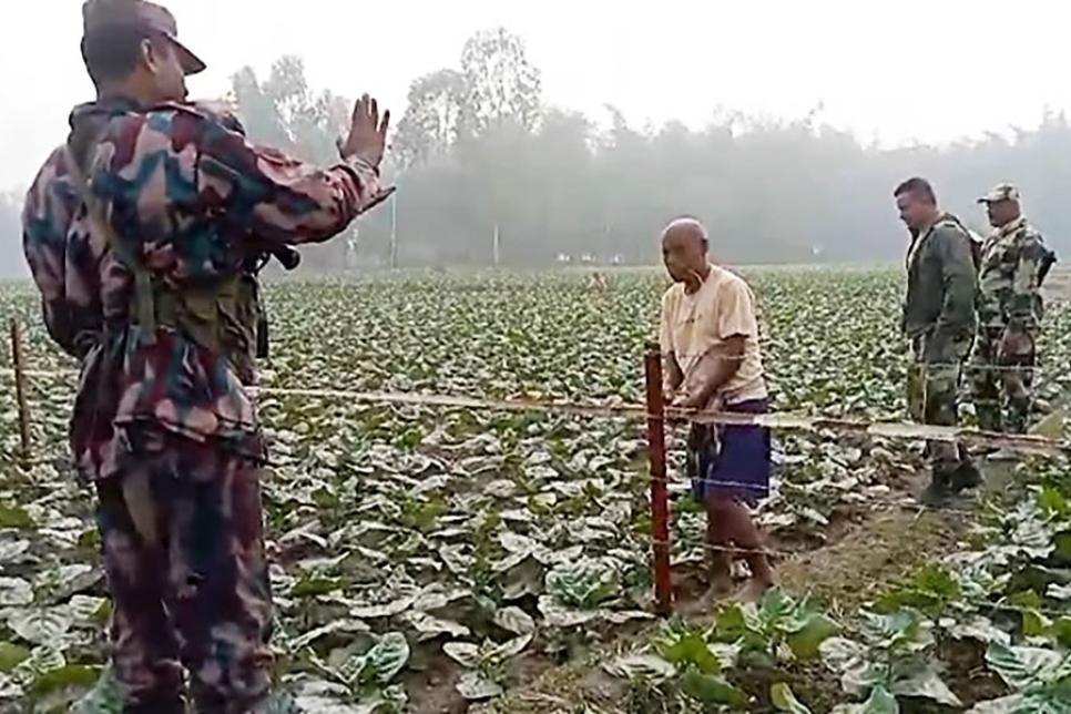 Укріпити колючий дріт бамбуком?