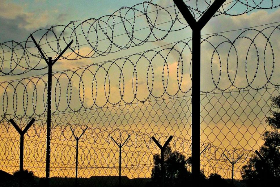 Сучасні типи колючих загороджень